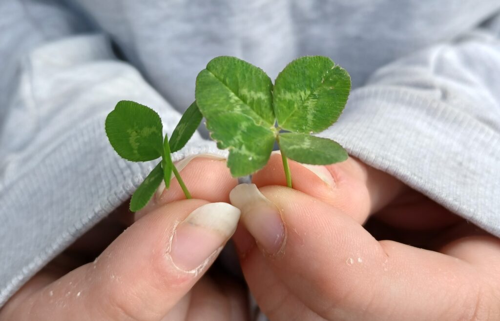 Lähikuva neliapilaa pitelevästä kädestä. Neliapila kuvaa SIB Jyväskylä -toiminnan vaikutuksia.